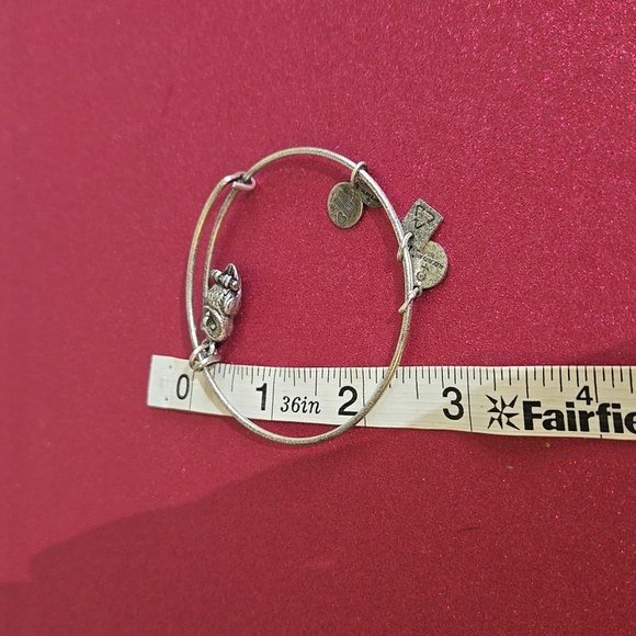 Alex and ani bracelet owl jo35 - Picture 4 of 4